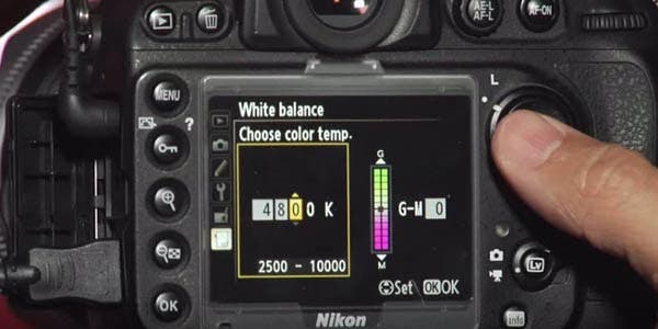 Getting the Most Out of Your New Camera: White Balance